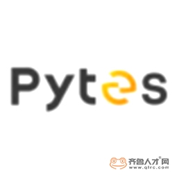 山东派智新能源科技有限公司logo 山东派智新能源科技有限公司logo