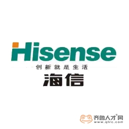 海信视像科技股份有限公司logo