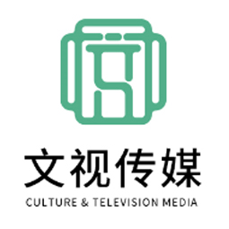 济南文视传媒科技有限公司logo 济南文视传媒科技有限公司logo